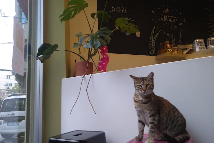 Juicery Cihangir Istanbul Zomato